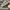 AIR JORDAN 1 MID COLLEGE GREY AIR JORDAN 1 MID COLLEGE GREY photo 6
