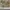 AIR JORDAN 1 MID COLLEGE GREY AIR JORDAN 1 MID COLLEGE GREY photo 5