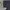 Oakley Daily Sport Blackout Tee Small Logo photo 5