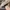 AIR JORDAN 1 LOW CENTRE COURT COCONUT MILK SAIL photo 6