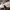 AIR JORDAN 1 LOW CENTRE COURT COCONUT MILK SAIL photo 7