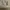AIR JORDAN 1 LOW CENTRE COURT COCONUT MILK SAIL photo 8