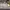 AIR JORDAN 1 LOW CENTRE COURT COCONUT MILK SAIL photo 3