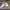 AIR JORDAN 1 LOW CENTRE COURT COCONUT MILK SAIL photo 2