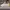 AIR JORDAN 1 LOW CENTRE COURT COCONUT MILK SAIL photo 1