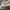SB DUNK LOW PRO SUMMIT WHITE WOLF GREY photo 7