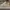 SB DUNK LOW PRO SUMMIT WHITE WOLF GREY photo 1