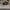 AIR JORDAN 1 HIGH OG SHADOW photo 1
