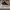 AIR JORDAN 1 HIGH OG SHADOW photo 3