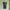 MINI DRESS HITAM BIG SIZE photo 1