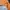 Berghaus Sportswear Casual Jersey Pria orange photo 5