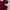 Top Blouse Maroon