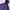 Kolping Sportswear Windbreaker Pria Purple