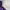 Kolping Sportswear Windbreaker Pria Purple photo 6