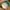 Vintage 90s Caps Universite Sorbonne Paris Green Undervisor  photo 2