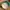 Vintage 90s Caps Universite Sorbonne Paris Green Undervisor 