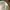 Vintage 90s Caps Universite Sorbonne Paris Green Undervisor  photo 4