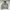 Big Size Abercrombie & Fitch Hoodie