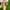 PATRIS leonora mules heels wanita/ hak 5cm photo 2