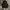 Le Coq Sportif Casual Vest Pria black photo 2