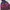 Volpha Multicolor Ski Snowboard Jacket
