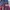 Volpha Multicolor Ski Snowboard Jacket photo 4