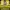 LIVE MAHJONG GACOR – 50 PUTARAN WAJIB WD photo 1