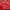 Flowers Midi Red skirts photo 5