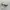 Vintage Y2K Sunglasses Gradation