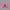 HOODIE NY PINK STABILO photo 2