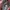 Guess Vintage Y2K Studed Handbag photo 4