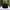 TOPI PITCH BLACK photo 6