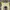 Y2K Japanese Sucure Pomme Tanktop Grunge Style photo 2