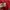 Sportswear Puffer jacket Pria white red photo 4