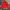 Sportswear Puffer jacket Pria white red photo 3