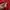 Sportswear Puffer jacket Pria white red photo 5