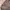 Cardigan Vneck grey photo 2