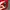 Cop Copine Red Midi Dress photo 9