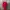 Cop Copine Red Midi Dress photo 1