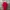 Cop Copine Red Midi Dress