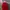 Cop Copine Red Midi Dress photo 5