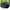 TOPI COLUMBIA 5 PANEL OUTDOOR photo 5