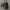Toscano sling hp photo 1