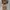 H&M Casual Shirt Dress Wanita Tan
