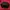 Topi Chicago Bulls NBA photo 2