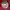 Topi astarter camo photo 3