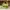 Biker Casual Crossbody Bag Wanita green photo 5
