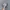 Asics Gel Kayano 14 Birch Dark Pewter photo 4