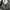 Shoulder bag (bottega veneta)  photo 1