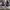 Adidas superstar slip on photo 3